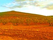 Rohas Tierras. Herencia, Ciudad Real
